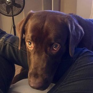 Meet your Posher, Kristin